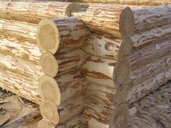 Дом с баней под одной крышей &mdash; проекты и строительство