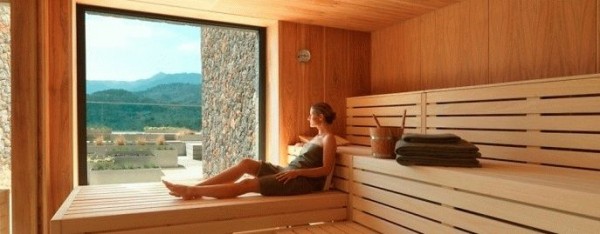
			Баня с панорамными окнами		
