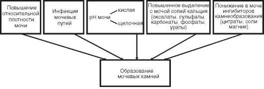 Как очистить унитаз от мочевого камня &ndash; несколько полезных советов